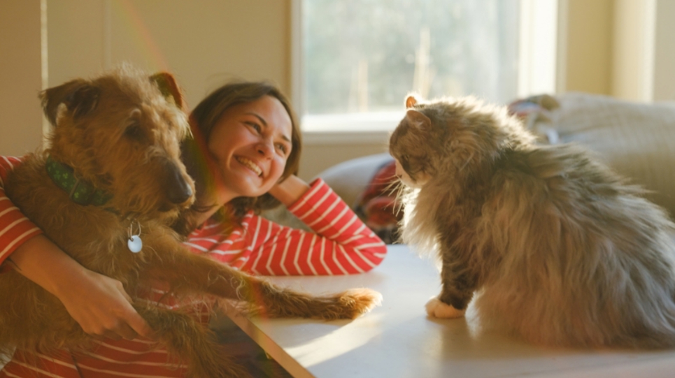 2170593051 Mixed Content 802 X 452