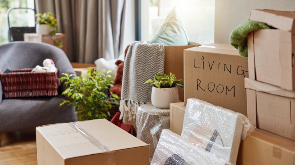 1081350424 Mixed Content 802 X 452