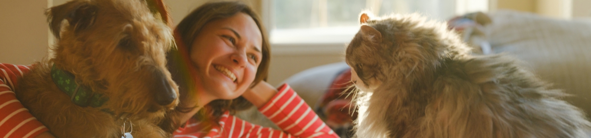 2170593051 Banner Image 1400 X 450